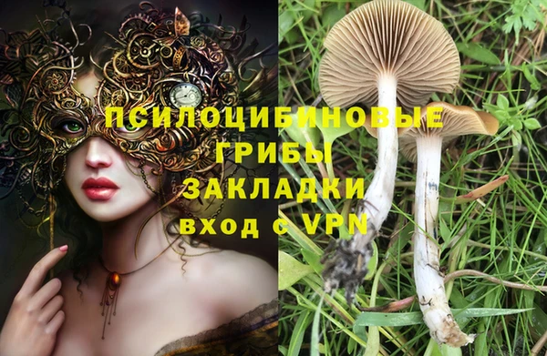 гашишное масло Богородск