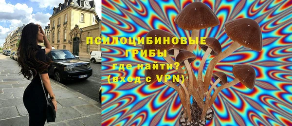 кристаллы Богородицк