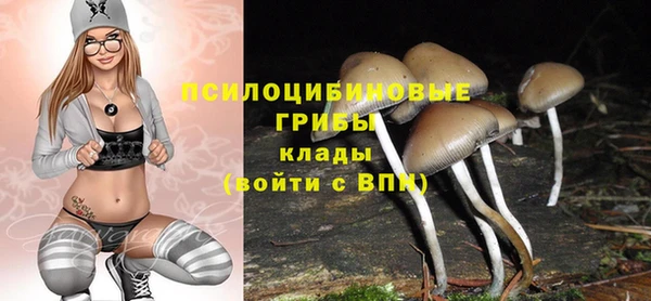 кристаллы Богородицк