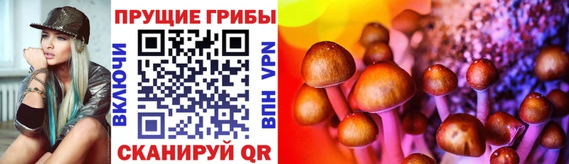 Галлюциногенные грибы MAGIC MUSHROOMS  Саяногорск 