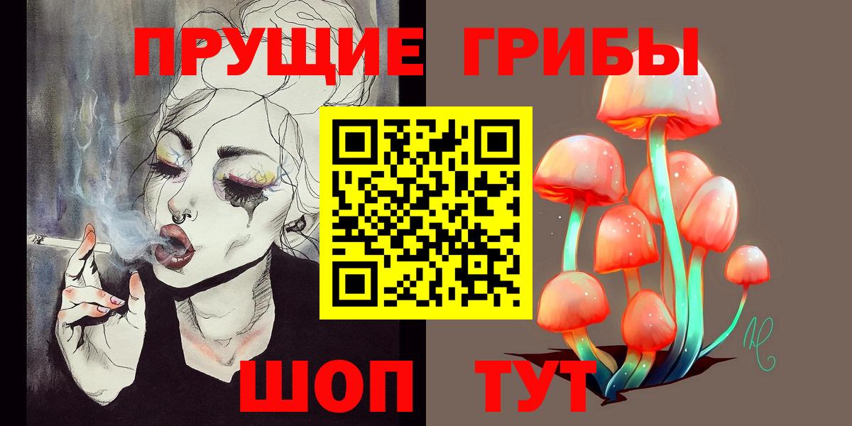 Галлюциногенные грибы Psilocybe Саяногорск